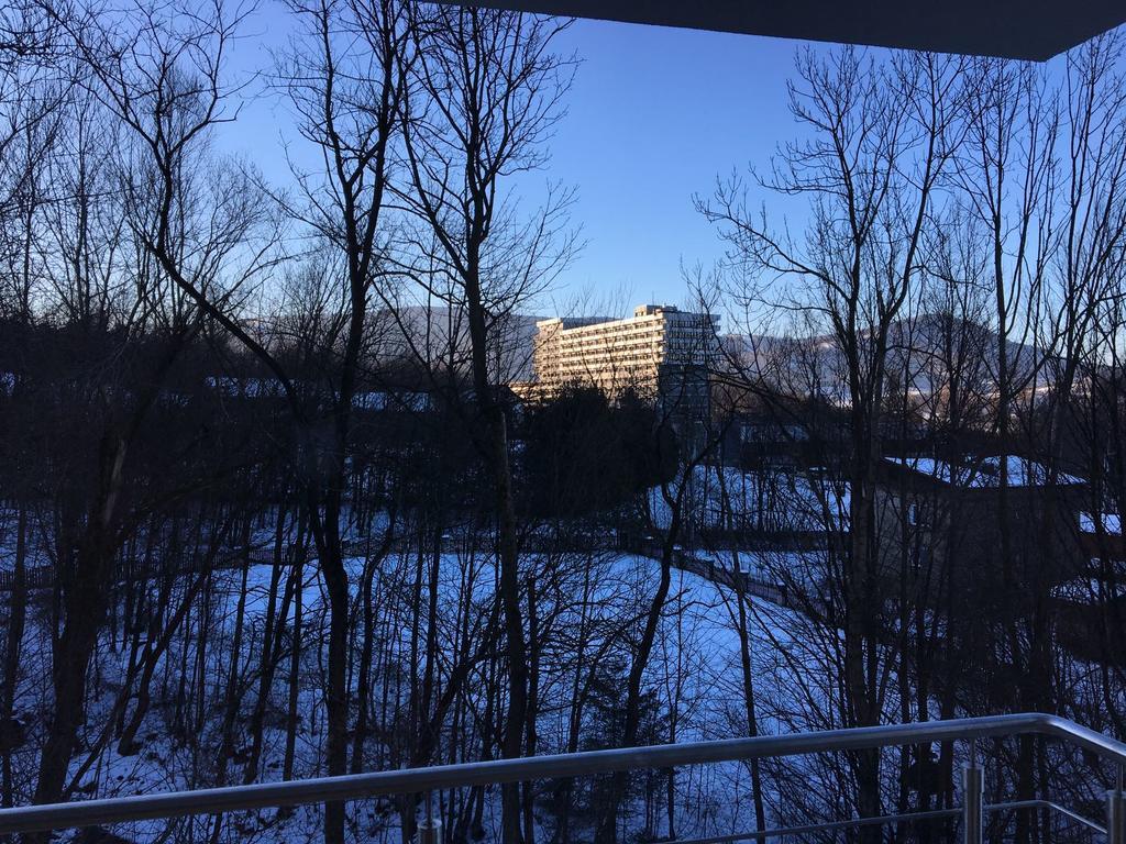 Apartamenty Nad Potoczkiem Ustroń Exterior foto