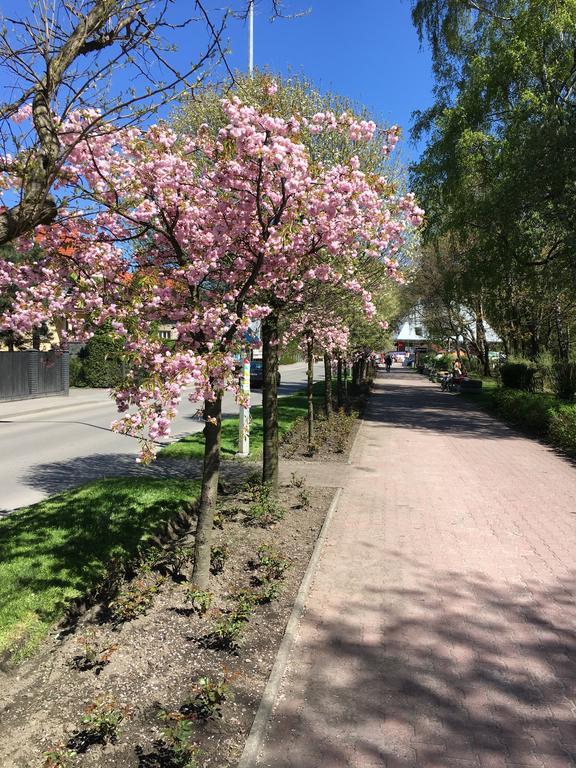 Apartamenty Nad Potoczkiem Ustroń Exterior foto